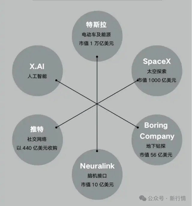 “三直”模式激活人才“强磁场”_